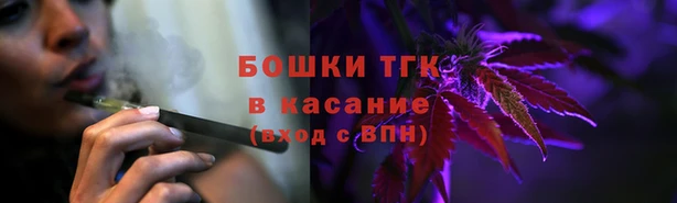 молекула духа Балахна