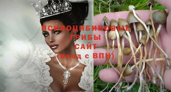 молекула духа Балахна