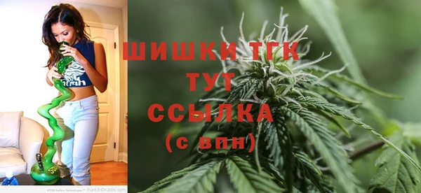 молекула духа Балахна