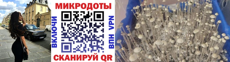 цена наркотик  Венёв  Галлюциногенные грибы мицелий 